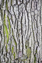 Similar image 22529164