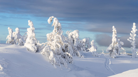 Similar image 22529252