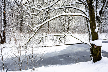 Similar image 22529315