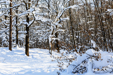 Similar image 22529349