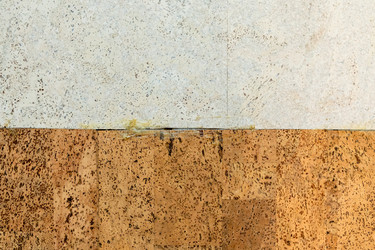 Similar image 22529374