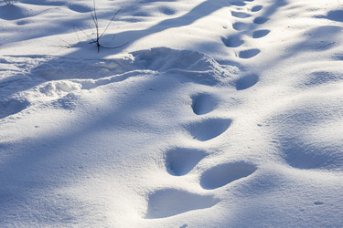 Similar image 22529377