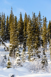 Similar image 22529430