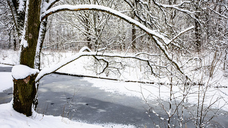 Similar image 22529433