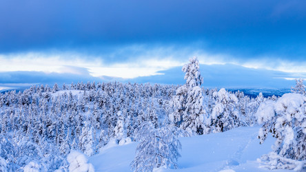 Similar image 22529472