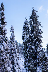 Similar image 22529473