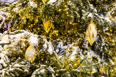 Similar image 22529495