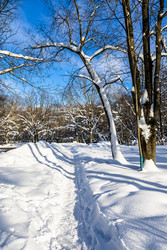 Similar image 22529582