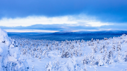 Similar image 22529628