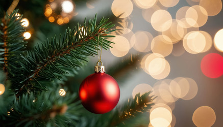 Similar image 22558492