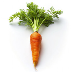 Similar image 22537724