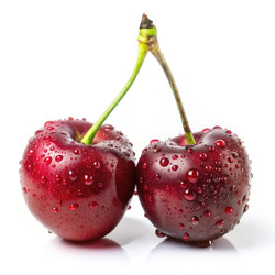 Similar image 22537965