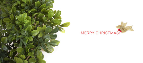 Similar image 22532035