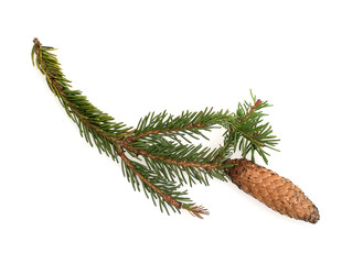 Similar image 22532145