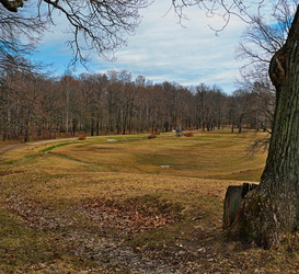 Similar image 22532162