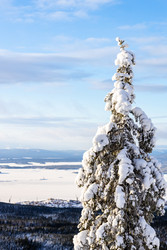 Similar image 22529588