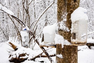 Similar image 22529631