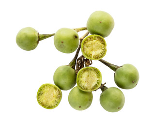 Similar image 22529728