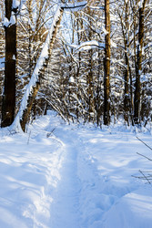 Similar image 22529730