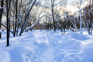 Similar image 22529752