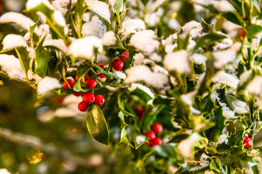 Similar image 22529819