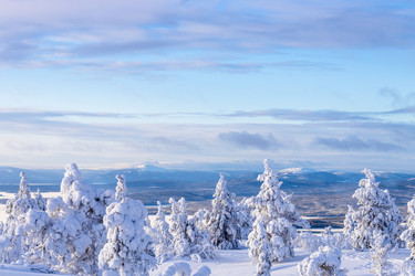 Similar image 22529821