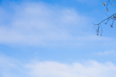 Similar image 22528801