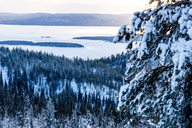 Similar image 22528805