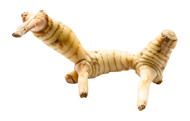 Similar image 22528832