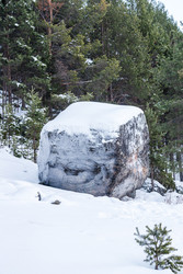 Similar image 22528834