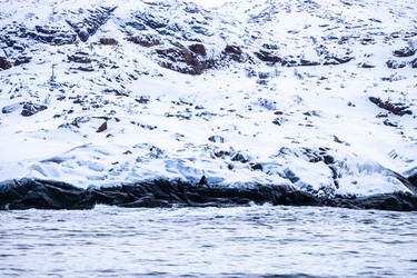 Similar image 22528859