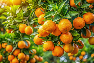 Similar image 22537726