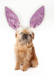 Similar image 22530221