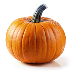 Similar image 22538146