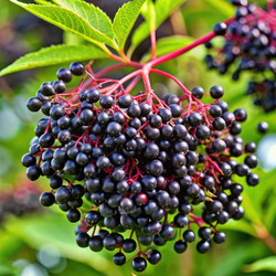 Similar image 22538205