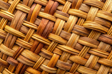 Similar image 22538343