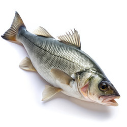 Similar image 22538061