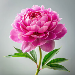 Similar image 22538103