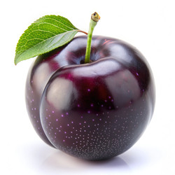 Similar image 22538207