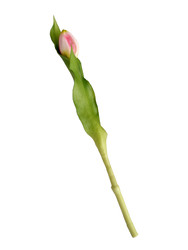 Similar image 22532151