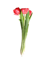 Similar image 22532328