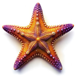 Similar image 22538008