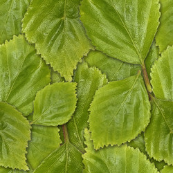 Similar image 22532012