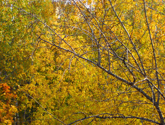 Similar image 22534849