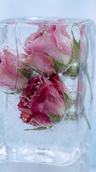 Similar image 22528932