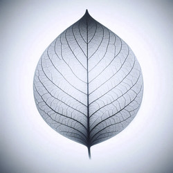 Similar image 22552620