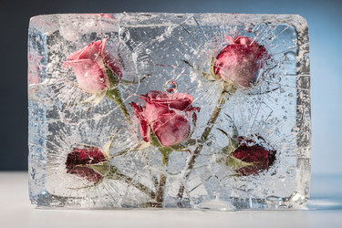 Similar image 22528900