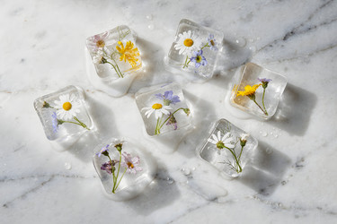 Similar image 22528903