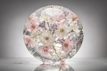 Similar image 22528914