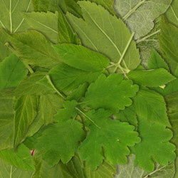 Similar image 22530336